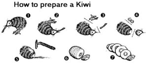 Rating: Questionable Score: 0 Tags: ambiguous_gender avian bird black_and_white cooking diagram e621 food fruit gore humor kiwi_(bird) kiwifruit low_res monochrome parody pen_(artwork) plant preparation pun ratite sequence shaving solo traditional_media_(artwork) unknown_artist visual_pun what User: bunchy7s Rating: Questionable Score: 0 Tags: ambiguous_gender avian bird black_and_white cooking diagram e621 food fruit gore humor kiwi_(bird) kiwifruit low_res monochrome parody pen_(artwork) plant preparation pun ratite sequence shaving solo traditional_media_(artwork) unknown_artist visual_pun what User: bunchy7s