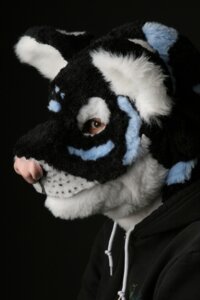 Rating: Safe Score: 0 Tags: 2:3 absurd_res clothing costume e621 felid female fursuit grandfathered_content hi_res mammal mask pantherine real solo stripes talonthekiller tiger User: bunchy7s Rating: Safe Score: 0 Tags: 2:3 absurd_res clothing costume e621 felid female fursuit grandfathered_content hi_res mammal mask pantherine real solo stripes talonthekiller tiger User: bunchy7s