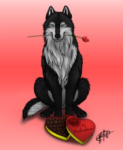 Rating: Safe Score: 0 Tags: 2008 blue_eyes candy canid canine canis chocolate dessert e621 feral flower flower_in_mouth food foxywolf heart_symbol holidays male mammal plant rose_(flower) rose_in_mouth solo tail valentine's_day wolf User: bunchy7s