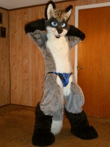 Rating: Questionable Score: 0 Tags: 2009 3:4 anthony_(baccala30) anthro blue_eyes bulge clothing costume e621 fur fursuit grandfathered_content grey_body grey_fur inside looking_at_viewer male mammal photography_(artwork) pose real solo speedo swimwear tail unknown_artist User: bunchy7s Rating: Questionable Score: 0 Tags: 2009 3:4 anthony_(baccala30) anthro blue_eyes bulge clothing costume e621 fur fursuit grandfathered_content grey_body grey_fur inside looking_at_viewer male mammal photography_(artwork) pose real solo speedo swimwear tail unknown_artist User: bunchy7s
