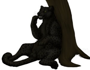 Rating: Explicit Score: 0 Tags: animal_genitalia balls black_body black_fur black_pawpads claws e621 felid feral fully_sheathed fur genitals leopard male mammal melanistic nude pantherine pawpads paws plant sheath simple_background solo spotz tail teeth toradoshi tree white_background wood User: bunchy7s