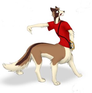 Rating: Safe Score: 0 Tags: bone canid canid_taur canine canine_taur canis dog_taur domestic_dog e621 filiaflammae male mammal mammal_taur quadruped skateboard solo tail taur vehicle User: bunchy7s