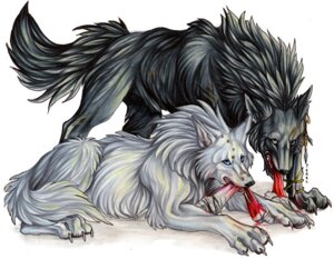 Rating: Questionable Score: 0 Tags: ambiguous_gender black_body black_fur blood bodily_fluids canid canine canis duo e621 feral fur mammal pearleden tail white_body white_fur wolf User: bunchy7s Rating: Questionable Score: 0 Tags: ambiguous_gender black_body black_fur blood bodily_fluids canid canine canis duo e621 feral fur mammal pearleden tail white_body white_fur wolf User: bunchy7s