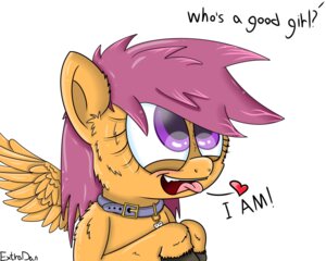 Rating: Safe Score: 0 Tags: 5:4 absurd_res collar dialogue e621 english_text equid equine extrart feathered_wings feathers female feral friendship_is_magic hair hasbro hi_res mammal my_little_pony mythological_creature mythological_equine mythology orange_body orange_feathers pegasus purple_eyes purple_hair scootaloo_(mlp) simple_background solo text white_background wings young young_female young_feral User: bunchy7s