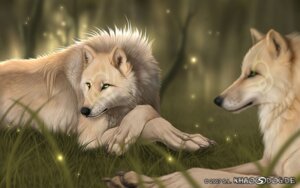 Rating: Safe Score: 0 Tags: 2007 ambient_arthropod ambient_firefly ambient_insect ambiguous_gender arthropod black_nose bust_portrait canid canine canis claws depth_of_field detailed_background digital_media_(artwork) duo e621 feral forest fur grass half-length_portrait khaosdog lying mammal markings nature nude outside plant portrait side_view tattoo tree tribal tribal_markings watermark wolf wood yellow_eyes User: bunchy7s