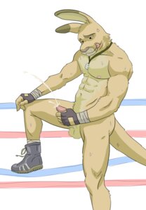 Rating: Explicit Score: 0 Tags: anthro balls biceps big_muscles big_penis bodily_fluids boots boots_only boxing_gloves clothing cum cumshot derp_eyes dog_tags e621 ejaculation erection fighting_ring fingerless_gloves footwear footwear_only fur genital_fluids genitals gloves handwear humanoid_genitalia humanoid_penis kangaroo macropod male mammal marsupial masturbation mostly_nude muscular muscular_anthro muscular_male nude orgasm penile penile_masturbation penis rick_roo shoes shoes_only simple_background sofakinggood solo sweat sweatdrop tail tongue white_background User: bunchy7s Rating: Explicit Score: 0 Tags: anthro balls biceps big_muscles big_penis bodily_fluids boots boots_only boxing_gloves clothing cum cumshot derp_eyes dog_tags e621 ejaculation erection fighting_ring fingerless_gloves footwear footwear_only fur genital_fluids genitals gloves handwear humanoid_genitalia humanoid_penis kangaroo macropod male mammal marsupial masturbation mostly_nude muscular muscular_anthro muscular_male nude orgasm penile penile_masturbation penis rick_roo shoes shoes_only simple_background sofakinggood solo sweat sweatdrop tail tongue white_background User: bunchy7s