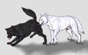 Rating: Explicit Score: 0 Tags: 16:10 2013 4_toes anatomically_correct anatomically_correct_genitalia anatomically_correct_vulva animal_genitalia animal_penis animal_vulva ass_up balls black_body black_fur black_nose canid canine canine_genitalia canine_penis canine_vulva canis claws digitigrade duo e621 feet female feral fur genitals green_eyes imminent_sex knot male male/female mammal nude open_mouth penis penis_tip raised_tail sheath simple_background smile sniffing tail theprodigy toes tongue tongue_out vulva white_body white_fur widescreen wolf User: bunchy7s