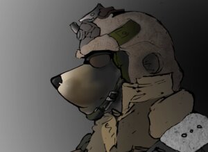 Rating: Safe Score: 0 Tags: anthro archived_source armor black_nose clothing e621 eyewear hat headgear headwear helmet male military soldier solo sunglasses warrior wolfox09 User: bunchy7s