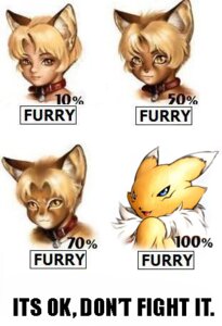 Rating: Safe Score: 0 Tags: animal_humanoid anthro bandai_namco bell bell_collar black_sclera blonde_hair blue_eyes brown_body brown_fur canid canine cat_humanoid chart chest_tuft collar collar_ring collar_tag dangerously_furry_(meme) digimon digimon_(species) domestic_cat e621 english_text facial_markings felid felid_humanoid feline feline_humanoid felis female fur grandfathered_content hair head_markings humanoid informative karabiner low_res mammal mammal_humanoid markings meme multiple_images po-ju red_collar renamon simple_background solo text third-party_edit tuft white_background white_body white_fur yellow_body yellow_fur User: bunchy7s