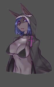 Rating: Questionable Score: 0 Tags: anthro aria_(buried_frog) big_breasts blue_eyes breasts buried_frog clothed clothing e621 female grey_body grey_skin lagomorph leporid mammal midriff rabbit skimpy solo User: bunchy7s