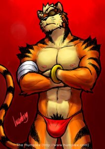 Rating: Questionable Score: 0 Tags: abs anthro armband barazoku beard bikini_thong biped black_nose bulge clothed clothing crossed_arms e621 eye_patch eyewear facial_hair felid front_view fur gradient_background humbuged male mammal markings muscular muscular_anthro muscular_male navel nipples orange_body orange_fur pantherine pecs pink_nipples portrait pubes red_background red_clothing red_swimwear ring_(marking) ringed_tail simple_background solo standing striped_markings striped_tail stripes swimwear tail tail_markings three-quarter_portrait tiger topless toraz User: bunchy7s