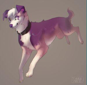 Rating: Safe Score: 0 Tags: 2012 action_pose australian_shepherd canid canine canis collar digitigrade dokuga domestic_dog e621 female feral herding_dog heterochromia iexploded looking_at_viewer mammal orange_eyes pastoral_dog pose purple_eyes quadruped sheepdog simple_background solo tail User: bunchy7s
