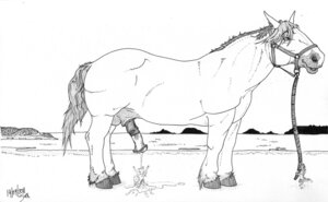 Rating: Explicit Score: 0 Tags: 2011 anthro black_and_white bodily_fluids cum cum_bath dated duo e621 equid equine erection extreme_size_difference feral genital_fluids genitals hatching_(art) horse line_art male male/male mammal monochrome outside penis quadruped sax shaded side_view signature size_difference standing tail User: bunchy7s
