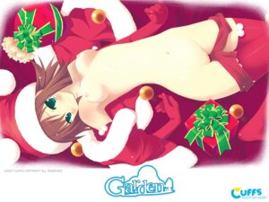 Rating: Explicit Score: 0 Tags: blush breasts brown_hair female garden_(game) green_eyes hoshino_erika long_hair looking_at_viewer lying navel nude pussy rule34 santa_hat shaved_pussy smile uncensored User: bunchy7s