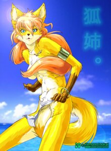 Rating: Questionable Score: 0 Tags: anthro canid canine chest_tuft dog_tags e621 female fox fur gloves_(marking) kemono_inukai kitunee lens_flare light mammal markings nude slim solo sunlight tail text translated tuft User: bunchy7s