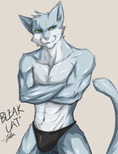 Rating: Questionable Score: 0 Tags: abs anthro biceps biped black_clothing black_swimwear blue_body blue_fur bulge clothed clothing crossed_arms domestic_cat e621 felid feline felis fur green_eyes hi_res kiba-wolf male mammal muscular muscular_anthro muscular_male pecs pose solo speedo standing swimwear tail thong topless underwear whiskers white_body white_fur yellow_sclera User: bunchy7s Rating: Questionable Score: 0 Tags: abs anthro biceps biped black_clothing black_swimwear blue_body blue_fur bulge clothed clothing crossed_arms domestic_cat e621 felid feline felis fur green_eyes hi_res kiba-wolf male mammal muscular muscular_anthro muscular_male pecs pose solo speedo standing swimwear tail thong topless underwear whiskers white_body white_fur yellow_sclera User: bunchy7s