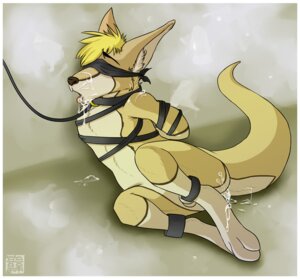 Rating: Explicit Score: 0 Tags: 2011 after_sex anal anthro arms_tied balls bdsm biped blindfold blonde_hair bodily_fluids bondage border bound collar cum cum_in_ass cum_in_mouth cum_inside cum_on_face cum_on_feet dominant e621 feet fur genital_fluids genitals hair hands_behind_back inner_ear_fluff kangaroo leash macropod male mammal marsupial messy milligram_smile nude open_mouth orgasm solo submissive submissive_male tail tan_body tan_fur tuft white_border User: bunchy7s Rating: Explicit Score: 0 Tags: 2011 after_sex anal anthro arms_tied balls bdsm biped blindfold blonde_hair bodily_fluids bondage border bound collar cum cum_in_ass cum_in_mouth cum_inside cum_on_face cum_on_feet dominant e621 feet fur genital_fluids genitals hair hands_behind_back inner_ear_fluff kangaroo leash macropod male mammal marsupial messy milligram_smile nude open_mouth orgasm solo submissive submissive_male tail tan_body tan_fur tuft white_border User: bunchy7s