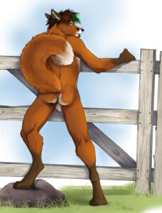 Rating: Explicit Score: 0 Tags: 2009 against_fence against_surface anthro anus backsack balls beard biped black_nose blackteagan brown_hair butt canid canine day e621 ear_piercing facial_hair fence fluffy fluffy_tail fox fur genitals gloves_(marking) grass green_hair hair jemeni leaning_on_fence leg_markings looking_at_viewer looking_back looking_back_at_viewer male mammal markings nude orange_body orange_fur outside piercing plant raised_tail rear_view rock short_hair sky socks_(marking) solo standing tail wood wood_fence User: bunchy7s
