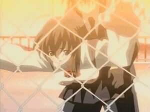 Rating: Explicit Score: 0 Tags: against_fence animated breasts brown_eyes brown_hair clothed_sex doggy_style female fence footwear hand_on_hip hips inbred incest itou_makoto kneehighs medium_breasts nude open_clothes open_mouth open_shirt rule34 saionji_sekai school_days school_rooftop school_uniform schoolgirl sex short_hair skirt socks sunset User: bunchy7s