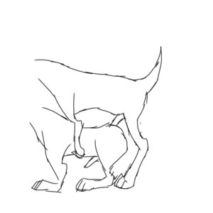 Rating: Explicit Score: 0 Tags: 1:1 all_fours anal anal_penetration animated animated_gif black_and_white canid canine canis digital_drawing_(artwork) digital_media_(artwork) doggystyle domestic_dog duo e621 erection feral feral_on_feral from_behind_position genitals line_art low_res male male/male male_penetrated male_penetrating male_penetrating_male mammal monochrome penetration penile penile_penetration penis penis_in_ass sex short_playtime side_view sketch tail tail_motion tailwag toony torso_shot unknown_artist User: bunchy7s Rating: Explicit Score: 0 Tags: 1:1 all_fours anal anal_penetration animated animated_gif black_and_white canid canine canis digital_drawing_(artwork) digital_media_(artwork) doggystyle domestic_dog duo e621 erection feral feral_on_feral from_behind_position genitals line_art low_res male male/male male_penetrated male_penetrating male_penetrating_male mammal monochrome penetration penile penile_penetration penis penis_in_ass sex short_playtime side_view sketch tail tail_motion tailwag toony torso_shot unknown_artist User: bunchy7s