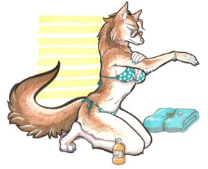 Rating: Safe Score: 0 Tags: 2010 anthro bikini border_collie bracelet canid canine canis clothed clothing collie domestic_dog e621 eyewear female herding_dog hi_res iggi jewelry mammal pastoral_dog sheepdog skimpy solo sunglasses swimwear tail towel triangle_bikini two-piece_swimsuit waterproofing_oil User: bunchy7s Rating: Safe Score: 0 Tags: 2010 anthro bikini border_collie bracelet canid canine canis clothed clothing collie domestic_dog e621 eyewear female herding_dog hi_res iggi jewelry mammal pastoral_dog sheepdog skimpy solo sunglasses swimwear tail towel triangle_bikini two-piece_swimsuit waterproofing_oil User: bunchy7s