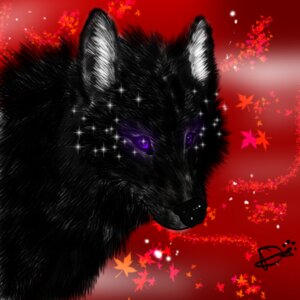 Rating: Safe Score: 0 Tags: 1:1 abstract_background ambiguous_gender anthropornorphic black_body black_fur canid canine canis e621 feral fluffy fur leaf mammal purple_eyes shopped simple_background solo third-party_edit wolf User: bunchy7s