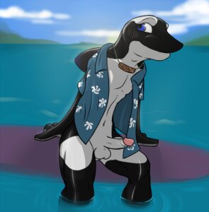 Rating: Explicit Score: 0 Tags: 2011 akamai anthro aquatic balls bent_legs biped black_body black_skin blue_eyes blush bottomless cetacean character_name clothed clothing cloud detailed_background dolphin e621 erection foreskin genitals humanoid_genitalia humanoid_penis jewelry legs_in_water legs_over_edge looking_away male mammal mostly_nude multicolored_body multicolored_skin name_tag navel necklace oceanic_dolphin open_clothing open_shirt open_topwear orca outside over_edge partially_clothed partially_submerged penis retracted_foreskin shirt sitting sky slim soaking_feet solo submerged_legs surfboard syynx text toothed_whale topwear two_tone_body two_tone_skin vehicle water watercraft white_body white_skin User: bunchy7s