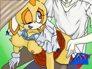 Rating: Explicit Score: 0 Tags: aged_up anthro breasts color cream_the_rabbit exposed_breasts faceless_male female fur furry furry_breasts human human_on_anthro interspecies male male_human/female_anthro male_on_anthro rabbit rule34 sega sonic_(series) straight_hair wdj User: bunchy7s