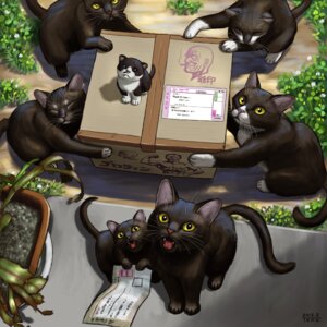 Rating: Safe Score: 0 Tags: 1:1 2012 :3 ambiguous_gender cactus clover_(plant) daww domestic_cat e621 eyes_closed fangs felid feline felis feral group high-angle_view looking_at_viewer looking_up male mammal matataku open_mouth package plant quadruped tail teeth whiskers yellow_eyes young young_feral User: bunchy7s Rating: Safe Score: 0 Tags: 1:1 2012 :3 ambiguous_gender cactus clover_(plant) daww domestic_cat e621 eyes_closed fangs felid feline felis feral group high-angle_view looking_at_viewer looking_up male mammal matataku open_mouth package plant quadruped tail teeth whiskers yellow_eyes young young_feral User: bunchy7s
