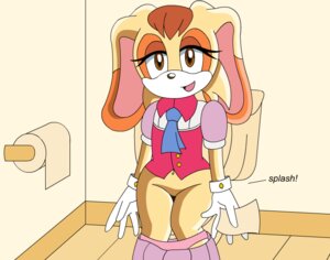 Rating: Explicit Score: 0 Tags: anthro female female_only fur mammal rabbit rule34 solo sonic_(series) sonic_x tagme toilet uncensored vanilla_the_rabbit User: bunchy7s
