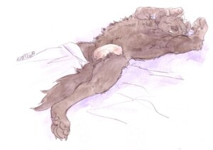 Rating: Explicit Score: 0 Tags: 1boy 2010 canine kaputotter male male_only nude on_back penis rule34 sleeping solo wolf User: bunchy7s