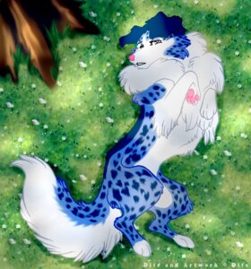 Rating: Safe Score: 0 Tags: ambiguous_gender blue_body blue_fur border_collie canid canine canis collie digitigrade dite_(artist) domestic_dog e621 feral fur herding_dog leopard_spots mammal pastoral_dog pink_nose quadruped sheepdog solo spots tail waiting white_body white_fur User: bunchy7s