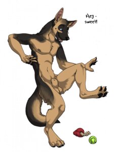 Rating: Explicit Score: 0 Tags: 2011 animal_genitalia anthro ball balls canid canine canis domestic_dog e621 elliot_(yut) fully_sheathed genitals german_shepherd herding_dog hi_res male mammal pastoral_dog sabretoothed_ermine sheath simple_background solo tail tennis_ball toy transformation white_background User: bunchy7s