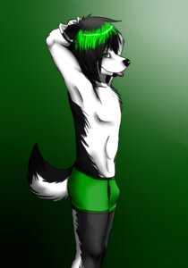 Rating: Questionable Score: 0 Tags: anthro black_nose bottomwear bulge canid canine canis clothed clothing domestic_dog e621 green_hair hair husky male mammal maron_the_husky nordic_sled_dog pants solo spitz stick tail tongue tongue_out topless underwear User: bunchy7s Rating: Questionable Score: 0 Tags: anthro black_nose bottomwear bulge canid canine canis clothed clothing domestic_dog e621 green_hair hair husky male mammal maron_the_husky nordic_sled_dog pants solo spitz stick tail tongue tongue_out topless underwear User: bunchy7s