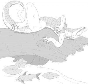 Rating: Questionable Score: 0 Tags: 2012 anthro aquatic biped breasts covering covering_breasts covering_self crocodile crocodilian curled_tail e621 feet female fish greyscale hi_res lily_pad log looking_at_viewer lying membrane_(anatomy) monochrome non-mammal_breasts nude open_mouth plant pose redraptor16 reptile scalie sharp_teeth solo tail teeth toes water webbed_feet webbed_hands wood User: bunchy7s Rating: Questionable Score: 0 Tags: 2012 anthro aquatic biped breasts covering covering_breasts covering_self crocodile crocodilian curled_tail e621 feet female fish greyscale hi_res lily_pad log looking_at_viewer lying membrane_(anatomy) monochrome non-mammal_breasts nude open_mouth plant pose redraptor16 reptile scalie sharp_teeth solo tail teeth toes water webbed_feet webbed_hands wood User: bunchy7s