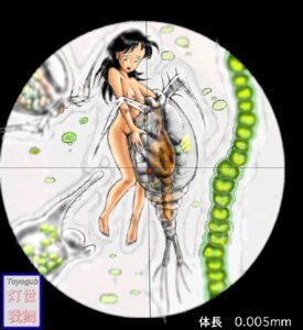 Rating: Explicit Score: 0 Tags: 1animal 1girls copepoda extreme_micro female gore guro looking_through_microscope micro_female micro_on_macro micro_organism_(organism) microscope microscopic nipples peril rule34 shrunken_female toyogub vore zoom User: bunchy7s