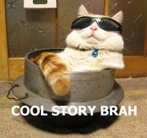 Rating: Safe Score: 0 Tags: :3 ambiguous_gender bell collar cool_story_bro deal_with_it domestic_cat e621 english_text eyewear felid feline felis feral grandfathered_content humor if_it_fits_i_sits_(meme) image_macro kagoneko lolcats mammal meme pink_nose reaction_image real relaxing shiro_(kagoneko) solo story sunglasses tabby_cat tail text unknown_artist User: bunchy7s Rating: Safe Score: 0 Tags: :3 ambiguous_gender bell collar cool_story_bro deal_with_it domestic_cat e621 english_text eyewear felid feline felis feral grandfathered_content humor if_it_fits_i_sits_(meme) image_macro kagoneko lolcats mammal meme pink_nose reaction_image real relaxing shiro_(kagoneko) solo story sunglasses tabby_cat tail text unknown_artist User: bunchy7s