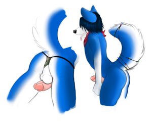 Rating: Explicit Score: 0 Tags: 2011 anthro backsack balls biped black_hair blue_body blue_fur blue_hair butt canid canine canis christmas_decorations christmas_lights clothed clothing clothing_aside domestic_dog e621 erection frazen fur genitals granitemcgee hair humanoid_genitalia humanoid_penis husky male mammal nordic_sled_dog nude penis penis_backwards scarf simple_background solo spitz string_lights tail thong tongue underwear underwear_aside white_background white_balls User: bunchy7s