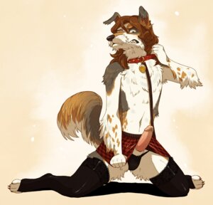 Rating: Explicit Score: 0 Tags: 1boy anthro canine collar crossdressing fur furry katzbalger leash male male_only panties pg rule34 skirt solo stockings tag underwear User: bunchy7s