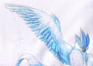 Rating: Safe Score: 0 Tags: ambiguous_gender articuno avian beak bird blue_theme cool_colors e621 eyes_closed feathered_wings feathers feral generation_1_pokemon legendary_pokemon night_owl nintendo pokemon pokemon_(species) simple_background solo sparkles white_background wings User: bunchy7s
