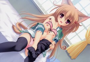 Rating: Explicit Score: 0 Tags: absurd_res animal_humanoid bed breasts cat_humanoid clothing e621 felid felid_humanoid feline feline_humanoid female furniture hi_res humanoid mammal mammal_humanoid nipples panties solo tail underwear unknown_artist User: bunchy7s Rating: Explicit Score: 0 Tags: absurd_res animal_humanoid bed breasts cat_humanoid clothing e621 felid felid_humanoid feline feline_humanoid female furniture hi_res humanoid mammal mammal_humanoid nipples panties solo tail underwear unknown_artist User: bunchy7s