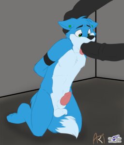 Rating: Explicit Score: 0 Tags: 3_toes age_difference animal_genitalia animal_penis anthro anthro_on_anthro arm_markings balls barbell_piercing barefoot big_penis black_body black_fur black_markings black_nose black_penis blue_body blue_fur blue_tail canid canine canis chest_tuft countershade_face countershade_torso countershading dipstick_tail duo e621 ear_piercing ears_down equid equine equine_genitalia equine_penis erection eyebrow_barbell eyebrow_piercing eyebrows facial_piercing feet fellatio full-length_portrait fur genitals glans green_eyes hands_behind_back head_grab head_tuft hi_res horse humanoid_genitalia humanoid_penis interspecies kneeling looking_at_genitalia looking_at_penis male male/male male_penetrated male_penetrating male_penetrating_male mammal markings medial_ring multicolored_body multicolored_fur multicolored_tail nude on_ground open_mouth oral oral_penetration penetration penile penis piercing pink_penis pink_tongue pivoted_ears portrait pose robbie_(rotten_robbie) sex sheath snout solo_focus tail tail_between_legs tail_markings thick_penis toes tongue tongue_out tuft two_tone_body two_tone_fur two_tone_tail white_body white_countershading white_fur white_tail wolf wolfblade young young_anthro young_male younger_penetrated User: bunchy7s