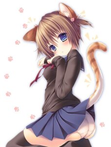 Rating: Safe Score: 0 Tags: animal_humanoid animal_tail blue_eyes blush bottomwear breasts brown_body brown_clothing brown_fur brown_hair brown_sweater brown_topwear cat_humanoid cat_tail clothing e621 felid felid_humanoid feline feline_humanoid female fur hair humanoid inner_ear_fluff kinokonomi kneeling looking_aside looking_at_viewer mammal mammal_humanoid panties raised_tail ribbons short_hair side_view skirt solo stripes sweater tail tan_body tan_fur tan_skin topwear tuft underwear white_body white_fur User: bunchy7s Rating: Safe Score: 0 Tags: animal_humanoid animal_tail blue_eyes blush bottomwear breasts brown_body brown_clothing brown_fur brown_hair brown_sweater brown_topwear cat_humanoid cat_tail clothing e621 felid felid_humanoid feline feline_humanoid female fur hair humanoid inner_ear_fluff kinokonomi kneeling looking_aside looking_at_viewer mammal mammal_humanoid panties raised_tail ribbons short_hair side_view skirt solo stripes sweater tail tan_body tan_fur tan_skin topwear tuft underwear white_body white_fur User: bunchy7s