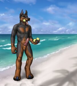 Rating: Explicit Score: 0 Tags: 2012 anakuro animal_genitalia animal_penis anthro ball balls beach breath brown_eyes canid canine canine_genitalia canine_penis canis cloud detailed_background digital_media_(artwork) domestic_dog e621 erection genitals happy holding_ball holding_object innuendo knot looking_at_viewer male mammal nipples nude nude_beach open_mouth outside panting penis sand seaside sky smile solo tennis_ball tennis_ball_in_mouth tongue tongue_out water User: bunchy7s