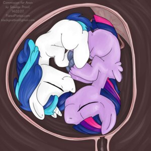 Rating: Explicit Score: 0 Tags: 1:1 age_regression blue_hair crossgender digital_media_(artwork) duo e621 equid equine eyes_closed fan_character feathered_wings feathers female feral friendship_is_magic fur genitals hair hasbro horn inside_uterus internal male mammal multicolored_hair my_little_pony mythological_creature mythological_equine mythology pegasus purple_body purple_fur purple_hair shining_armor_(mlp) smile smudge_proof twilight_sparkle_(mlp) two_tone_hair umbilical_cord unbirthing unicorn uterus vaginal vaginal_canal vore vulva white_body white_fur wings User: bunchy7s
