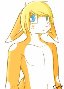 Rating: Safe Score: 0 Tags: 2012 anthro big_eyes blue_eyes collarbone colored cynik dipstick_ears e621 ear_markings freckles front_view frown fur hair half-length_portrait lagomorph leporid long_ears looking_at_viewer male mammal markings multicolored_ears nude orange_body orange_fur portrait rabbit short_hair shy simple_background solo white_background white_body white_fur User: bunchy7s