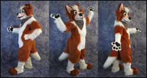 Rating: Safe Score: 0 Tags: anthro black_eyes border_collie canid canine canis clothing collie costume domestic_dog e621 fursuit grandfathered_content herding_dog jill0r kerchief male mammal pastoral_dog paws photography_(artwork) pose real sheepdog solo User: bunchy7s Rating: Safe Score: 0 Tags: anthro black_eyes border_collie canid canine canis clothing collie costume domestic_dog e621 fursuit grandfathered_content herding_dog jill0r kerchief male mammal pastoral_dog paws photography_(artwork) pose real sheepdog solo User: bunchy7s