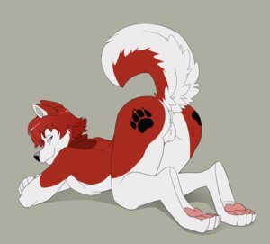 Rating: Explicit Score: 0 Tags: 2011 all_fours anthro ass_up backsack balls biped butt canid canine canis cenny digital_media_(artwork) domestic_dog e621 footprint genitals husky jailbird looking_at_viewer looking_back lying male mammal markings nordic_sled_dog nude on_front pawprint pawprint_(marking) presenting presenting_hindquarters raised_tail simple_background solo spitz tail User: bunchy7s