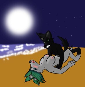 Rating: Explicit Score: 0 Tags: anthro anthro_on_anthro beach blush bodily_fluids breasts canid canine canis cum detailed_background duo e621 female from_front_position genital_fluids jedader lying male male/female mammal missionary_position moon night nipples on_back outside sand sea seaside sex sex_on_the_beach sky spread_legs spreading star starry_sky tail water wolf User: bunchy7s