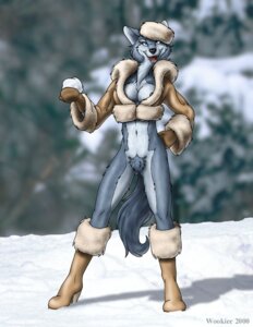 Rating: Explicit Score: 0 Tags: anthro boots bottomless breasts canid canine canis clothed clothing coat e621 female footwear genitals hat headgear headwear high_heeled_boots high_heels jacket mammal nipples outside pubes shoes snow solo tail topwear vulva wolf wooky User: bunchy7s
